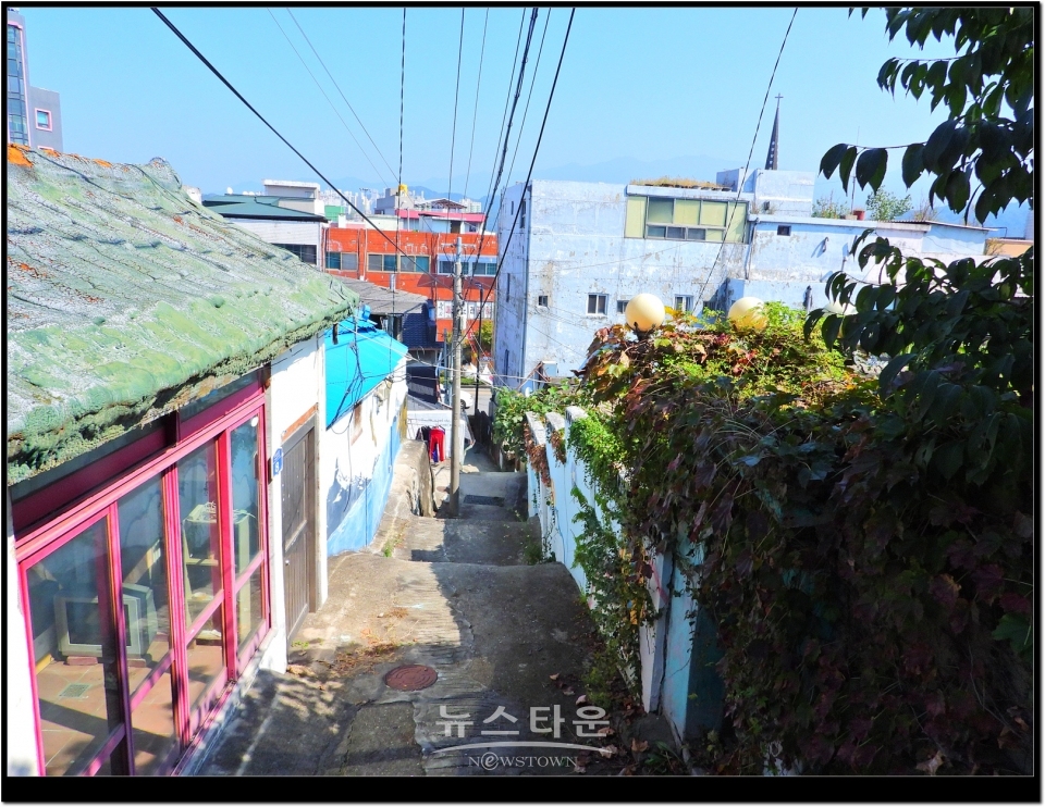 원주시 학성동 희매촌일대