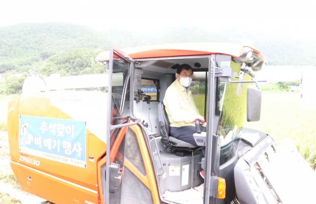 주낙영 경주시장이 직접 콤바인으로 벼를 수확하고 있다