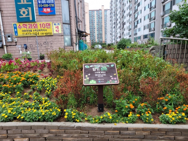 정원가꾸기 후 모습