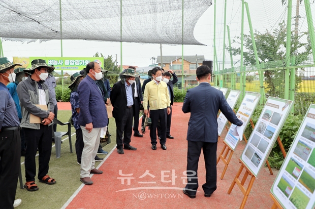 벼농사 종합평가회