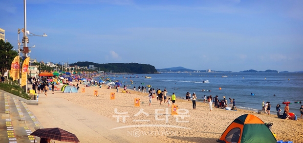 보령 대천해수욕장
