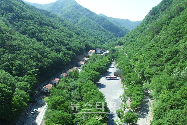 금산군 산림문화타운