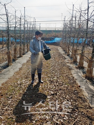 친환경 과수원 환경개선제 대량공급