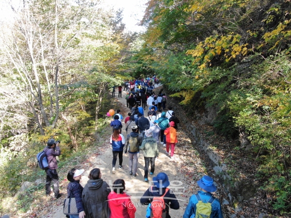 2019년 행사 모습
