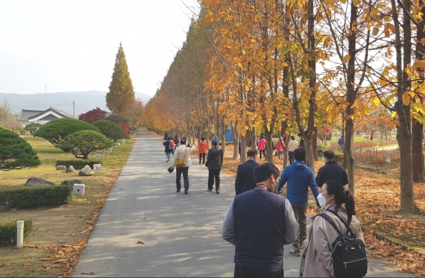 동리목월기념사업회가 진행한 ‘가을, 인문한 산책’ 참여자들이 산책코스를 걸어가고 있다