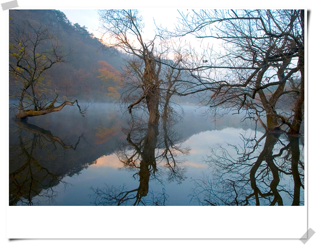 주산지