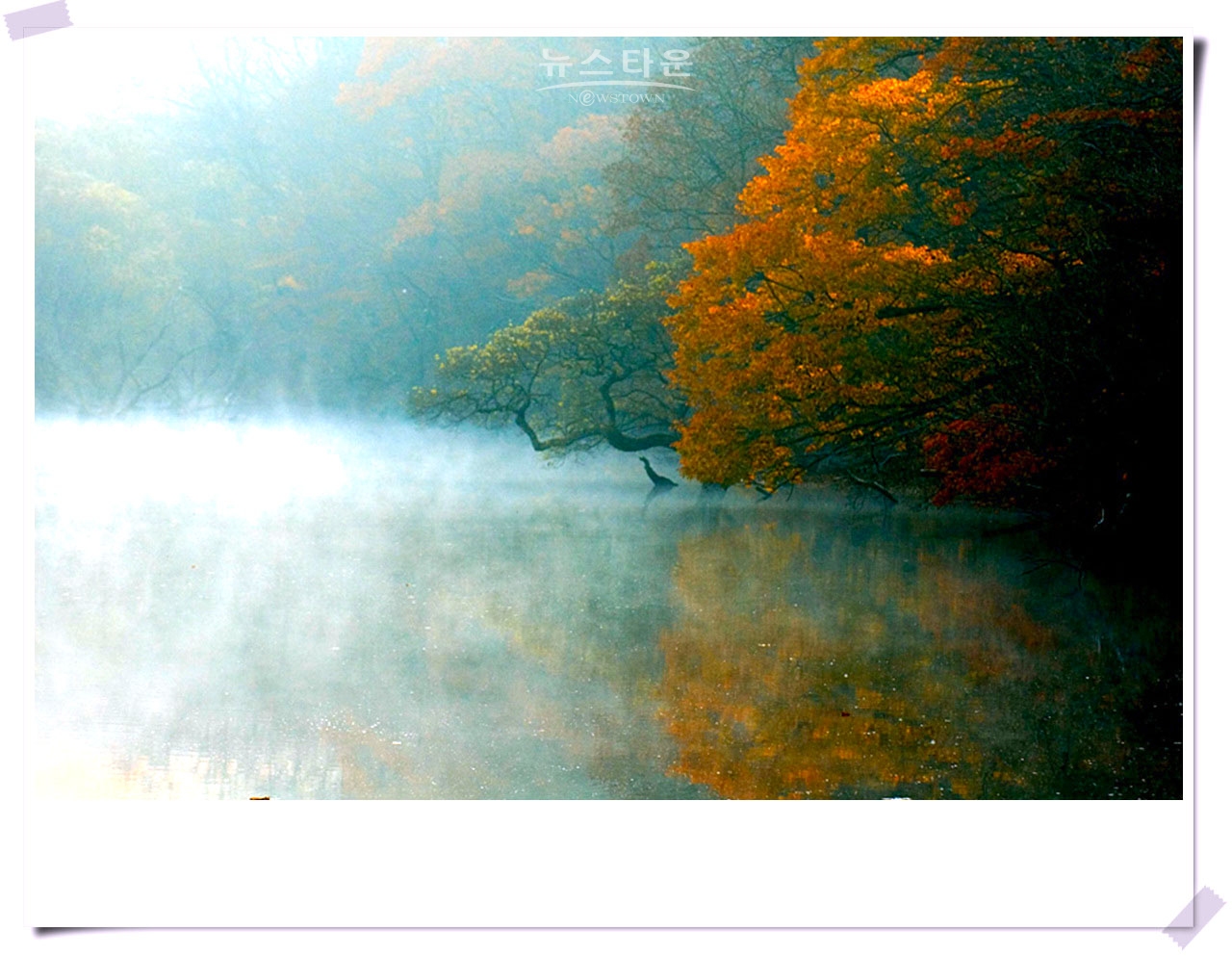 주산지