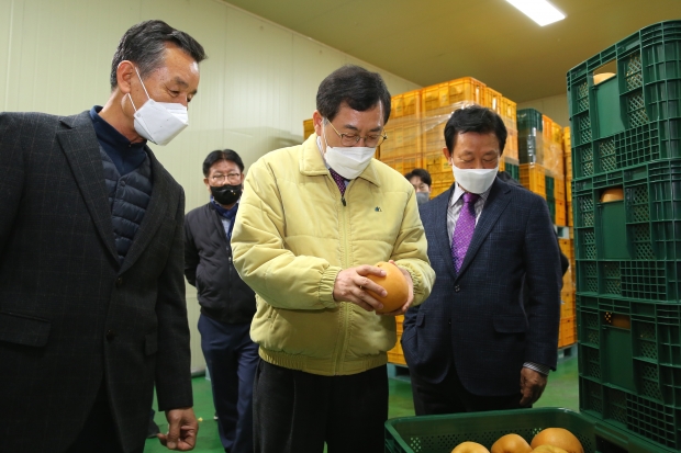 주낙영 경주시장이 현곡배를 살펴보고 있다