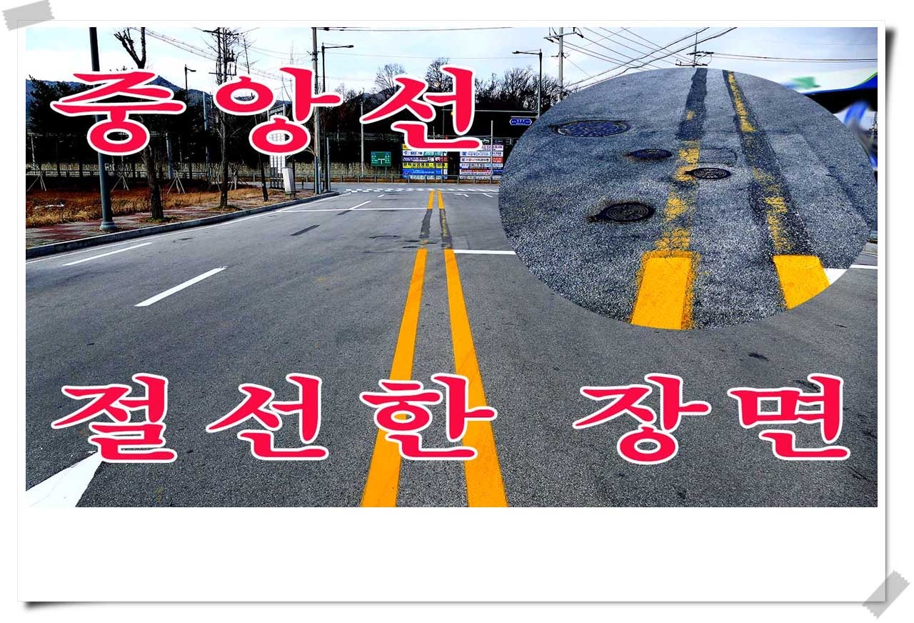 사진 : 중앙선절선과 시내버스정류장 불법주차장면