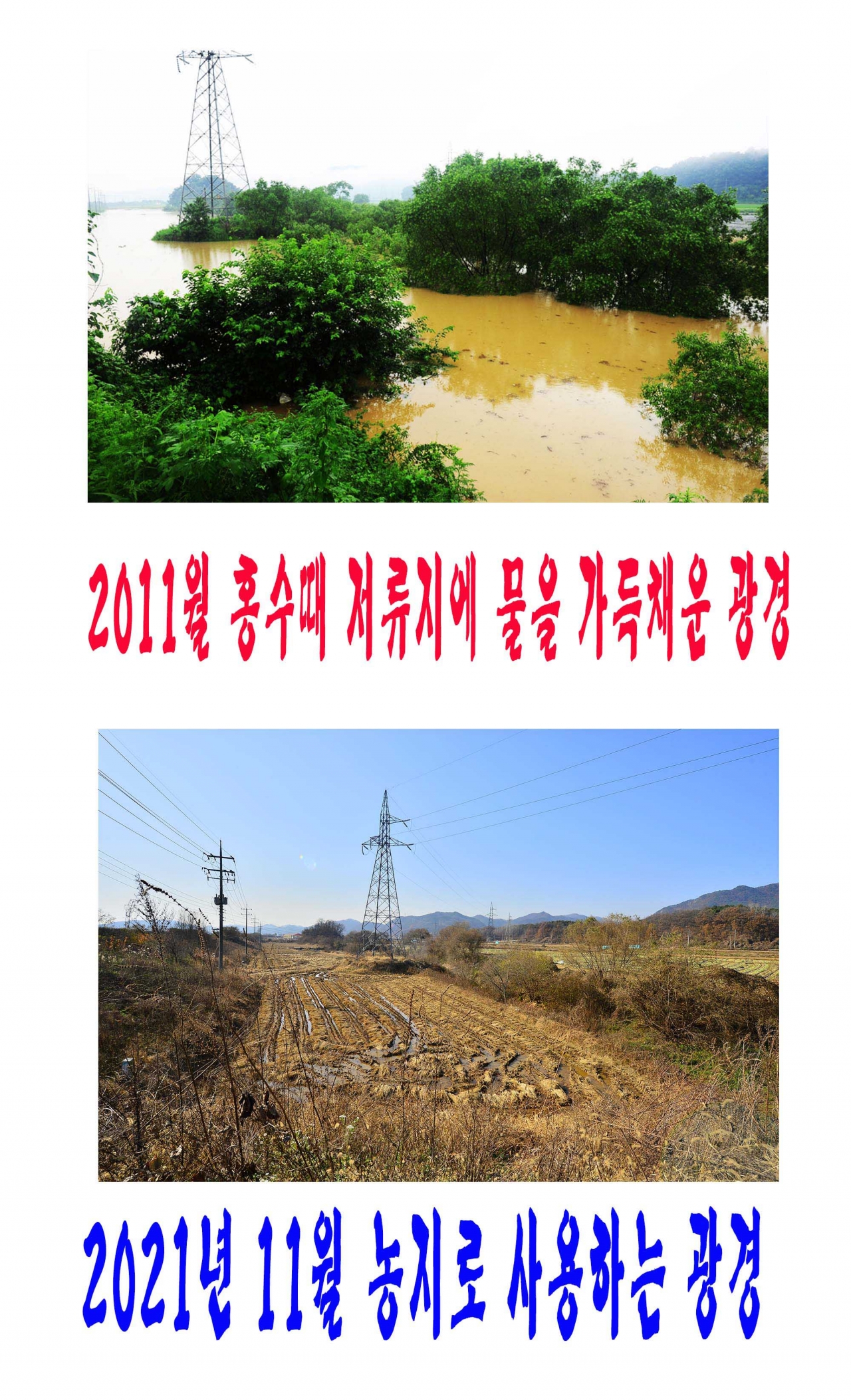 문막읍 반계리 저류지 관리부실- 탁상행정의 표본