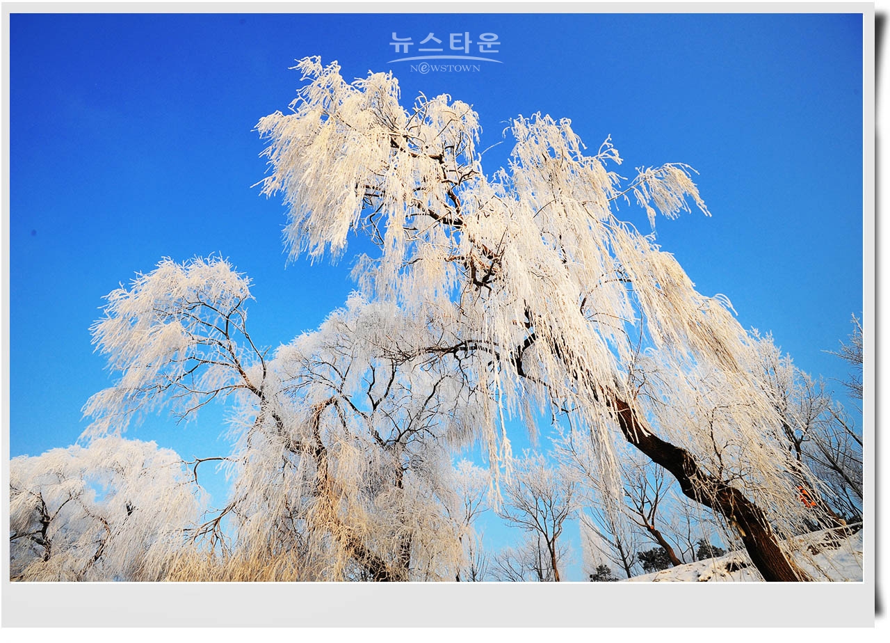여주 신륵사와 한강의 겨울풍경