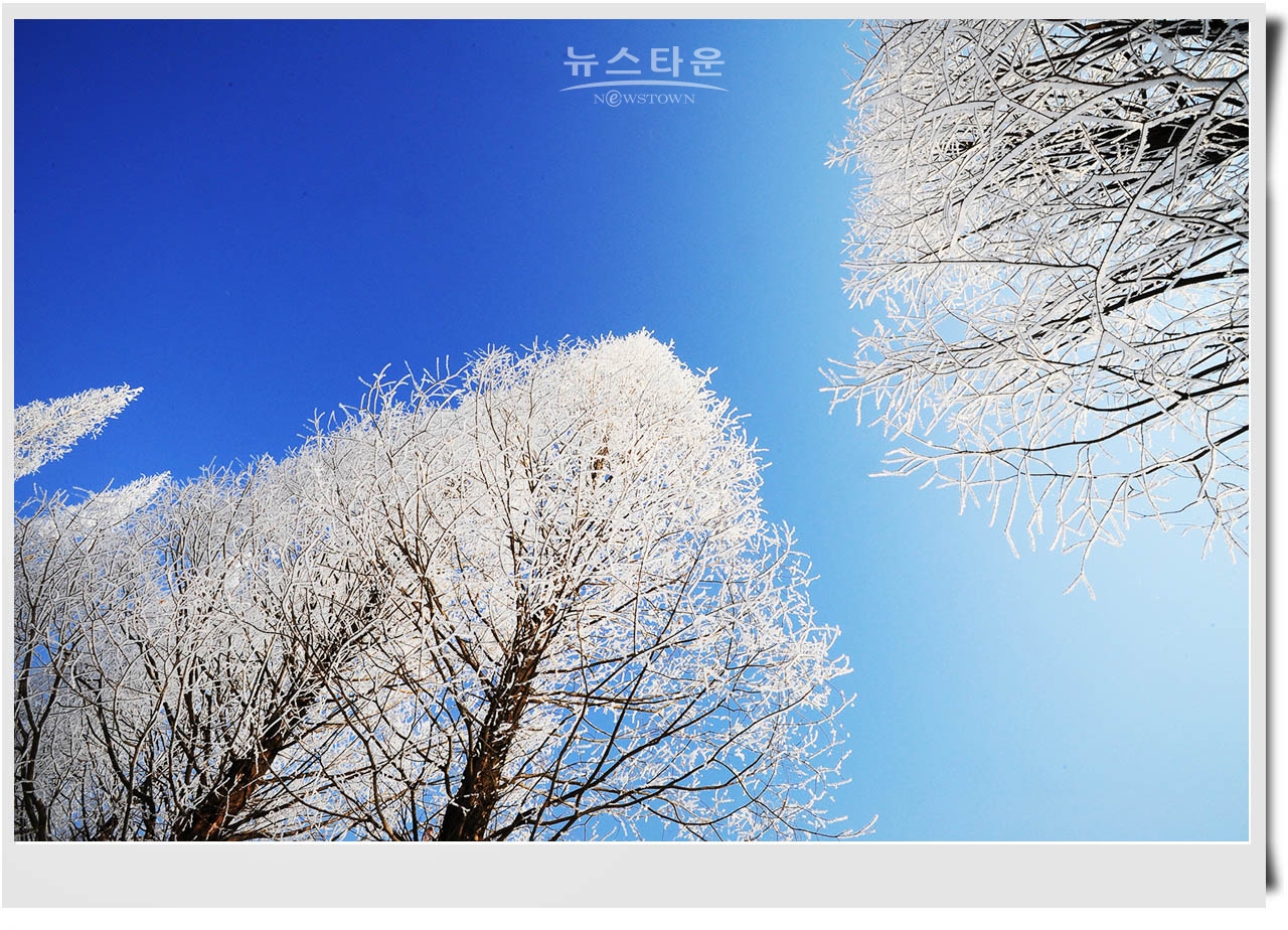 여주 신륵사와 한강의 겨울풍경