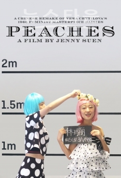 도화 작품 포스터