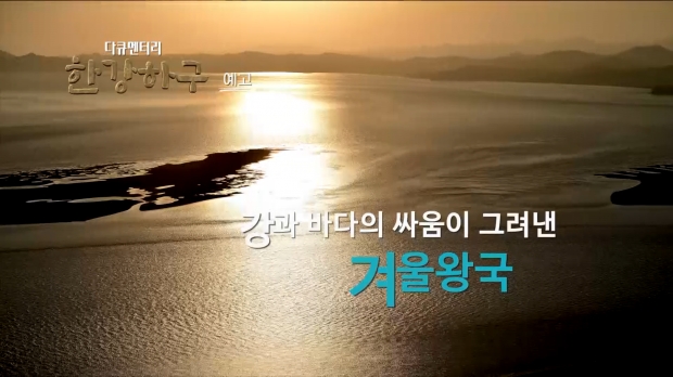 한강하구 전경
