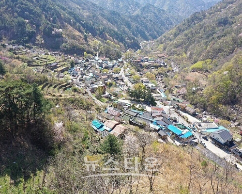 의신베어빌리지 봄 전경
