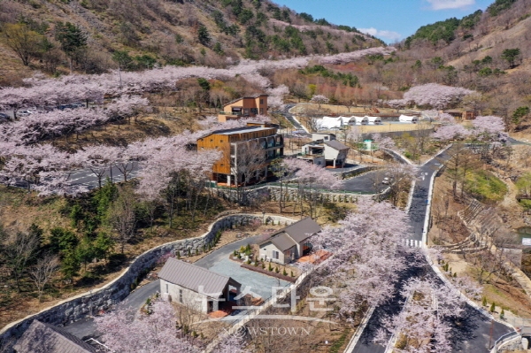 월아산 자연휴양림 전경