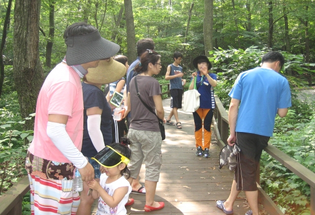 숲길 등산지도사 활동 모습
