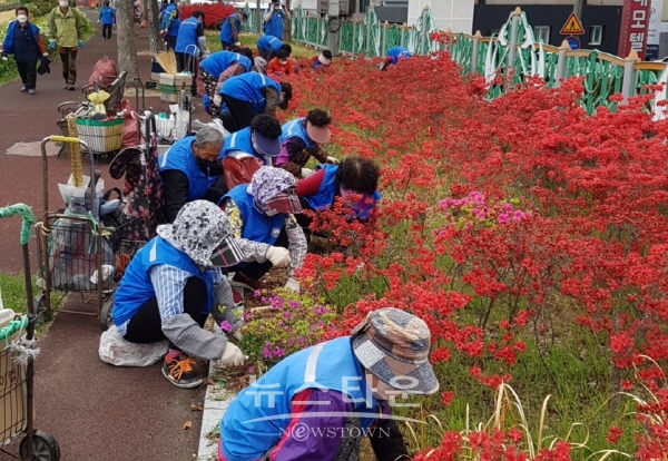 노인일자리 깨끗한 남강 가꾸기 환경 정화활동