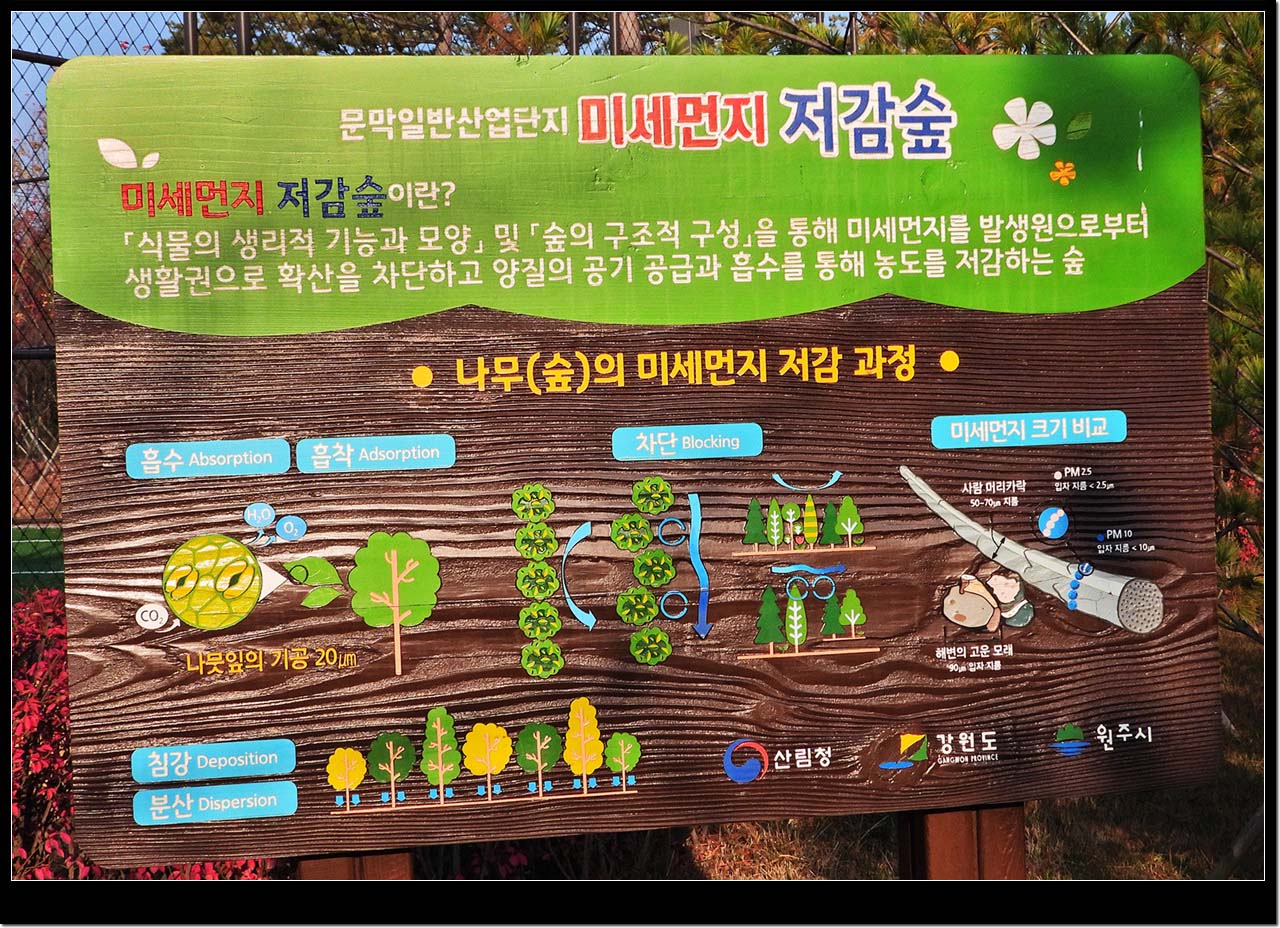 미세먼지 저감나무숲의 자료사진