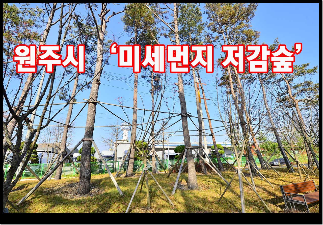 문막읍 반계리 2242번지 일원 문막 일반산업단지 미세먼지 저감숲(도시림)