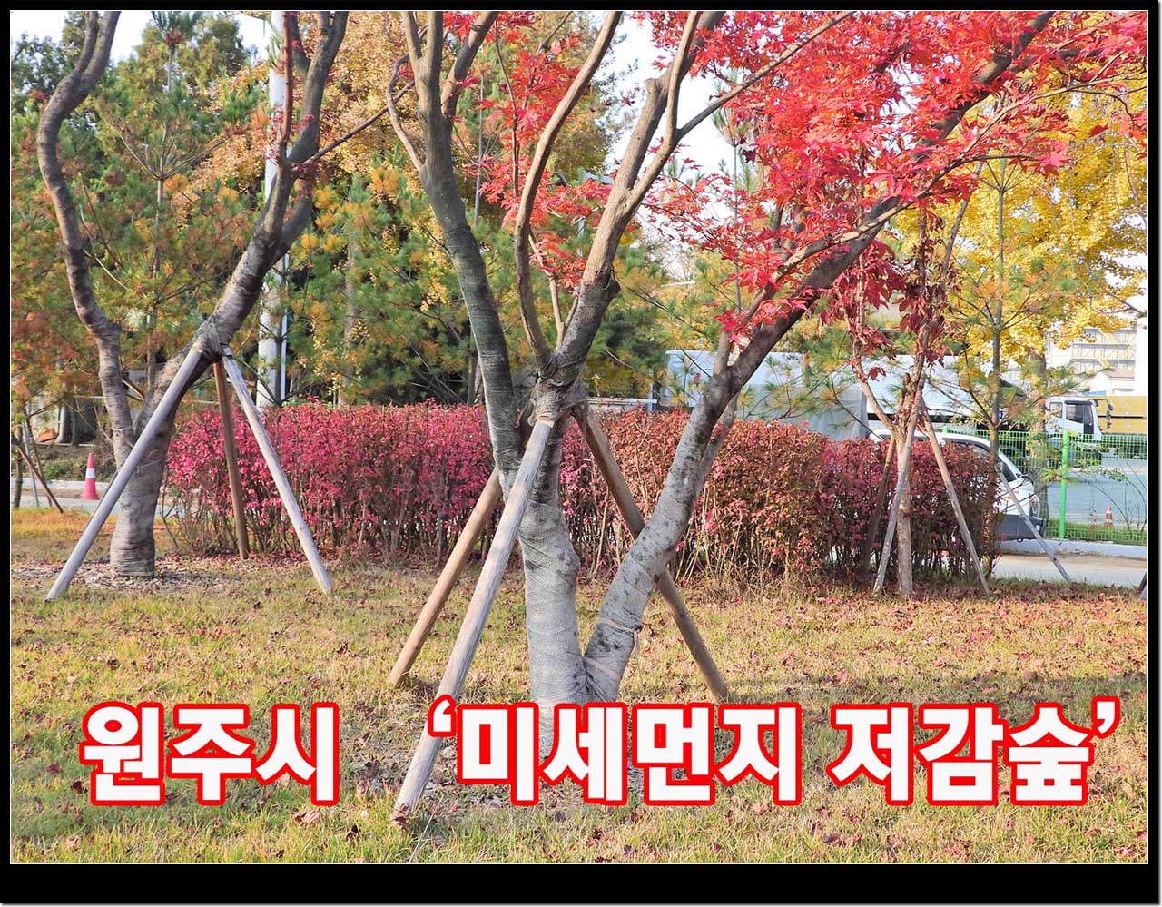 문막읍 반계리 2242번지 일원 문막 일반산업단지 미세먼지 저감숲(도시림)