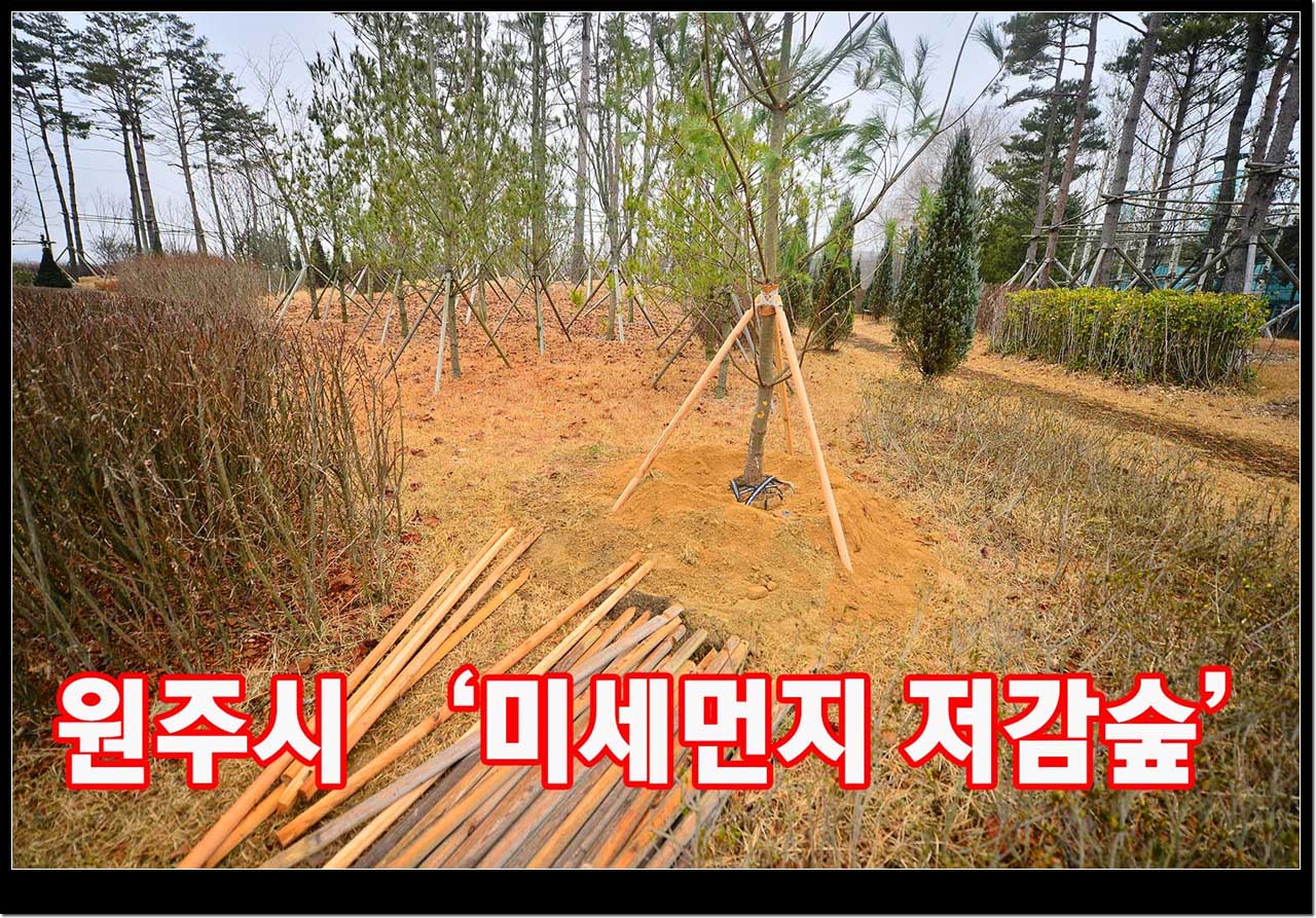 문막읍 반계리 2242번지 일원 문막 일반산업단지 미세먼지 저감숲(도시림)