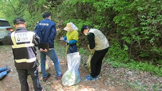 산림특별 사법경찰이 산나물 불법 채취현장을 단속하고 있다(사진=산림청)