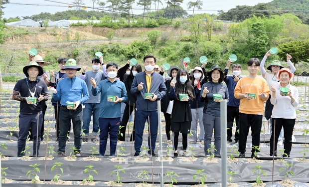 청양군 대치면 고추재배 농가 농촌일손 돕기(부군수, 기획감사실, 미래전략과, 대치면 직원 30여명 참여)