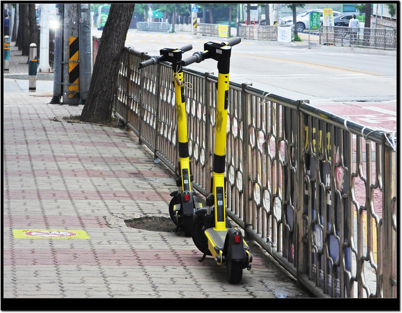 전동퀵보드 사용후 도로에 방치한 현장