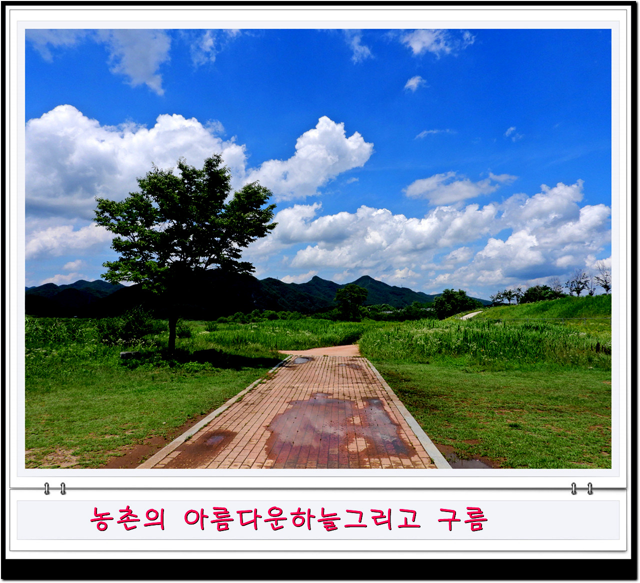 비온뒤 깔끔한 하늘과 농촌풍경비가 오고 난 뒤면 농촌의 하늘을 자랑한다.