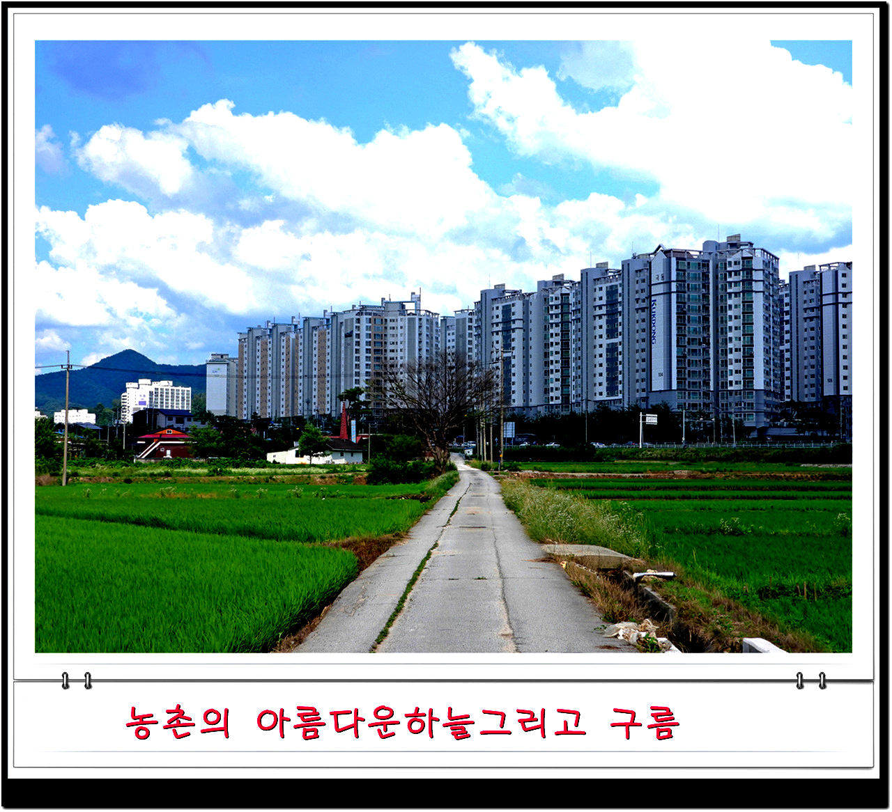 비온뒤 깔끔한 하늘과 농촌풍경비가 오고 난 뒤면 농촌의 하늘을 자랑한다.