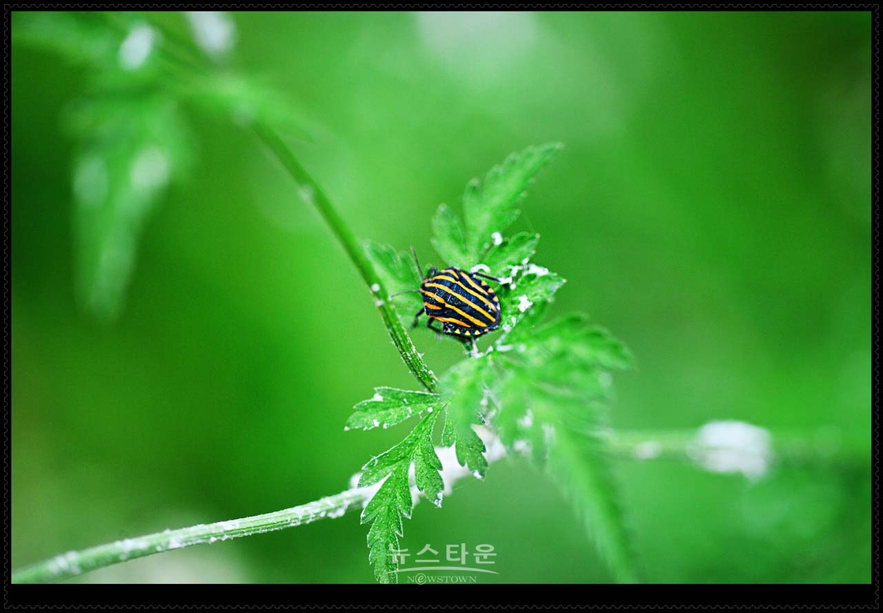 새벽에 만나는 반가운 여러가지