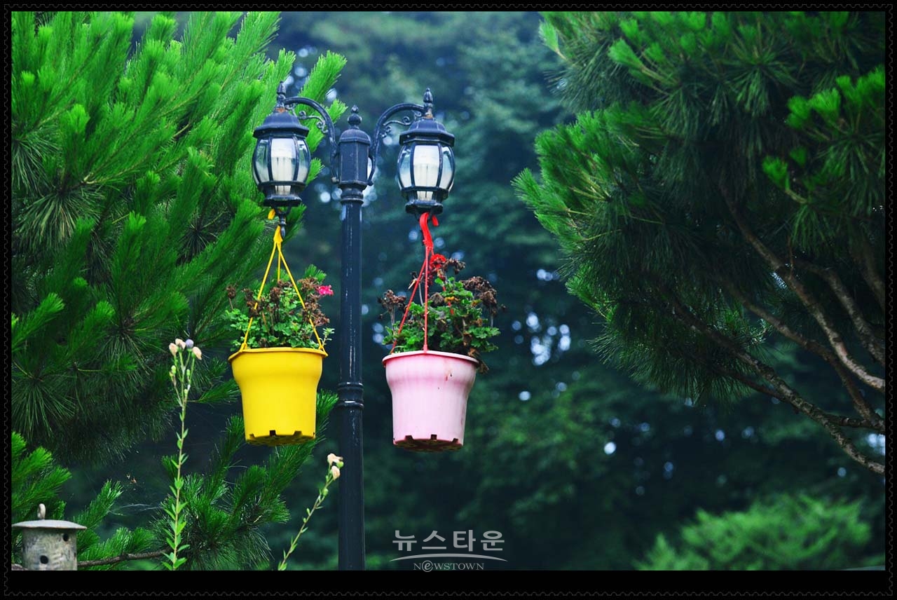 새벽에 만나는 반가운 여러가지