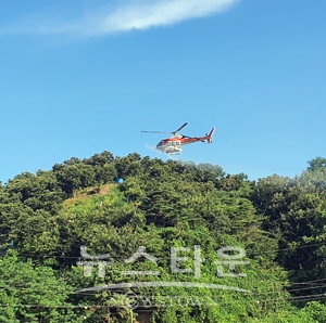 밤나무 해충 항공방제