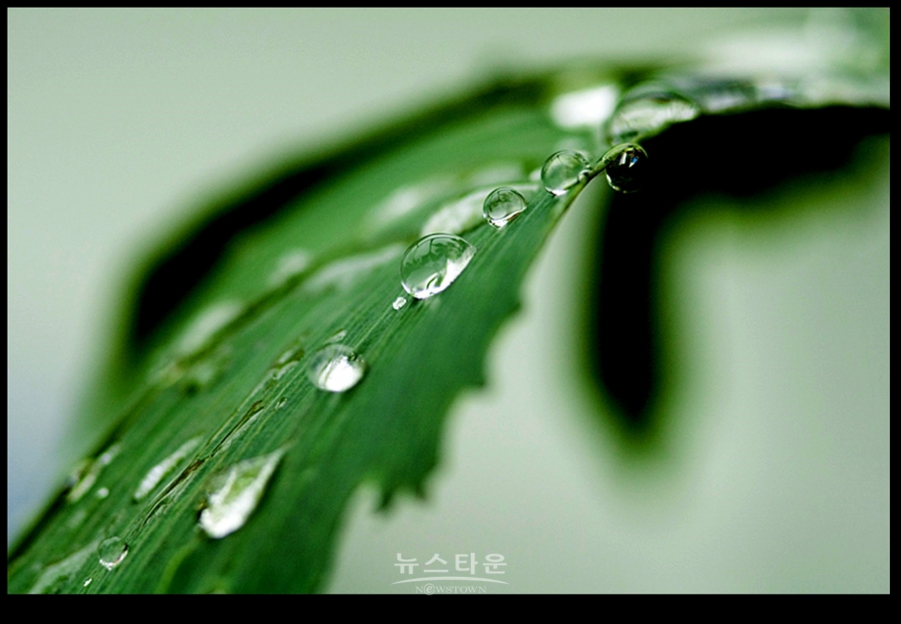 빗방울이 만든 아트전시회