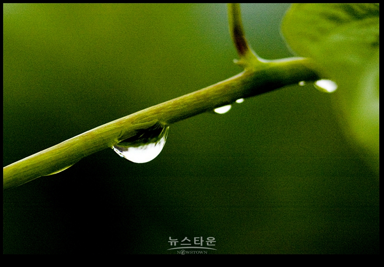 빗방울이 만든 아트전시회