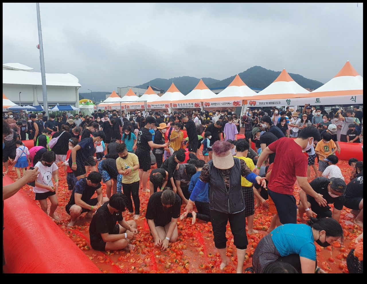 제11회 둔내고랭지토마토축제