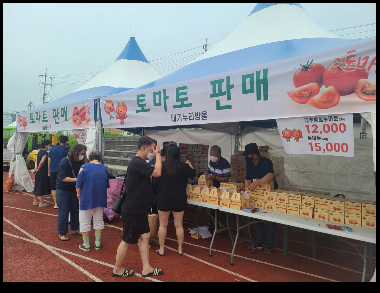 제11회 둔내고랭지토마토축제