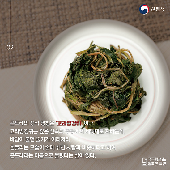 곤드레 나물(사진=산림청)