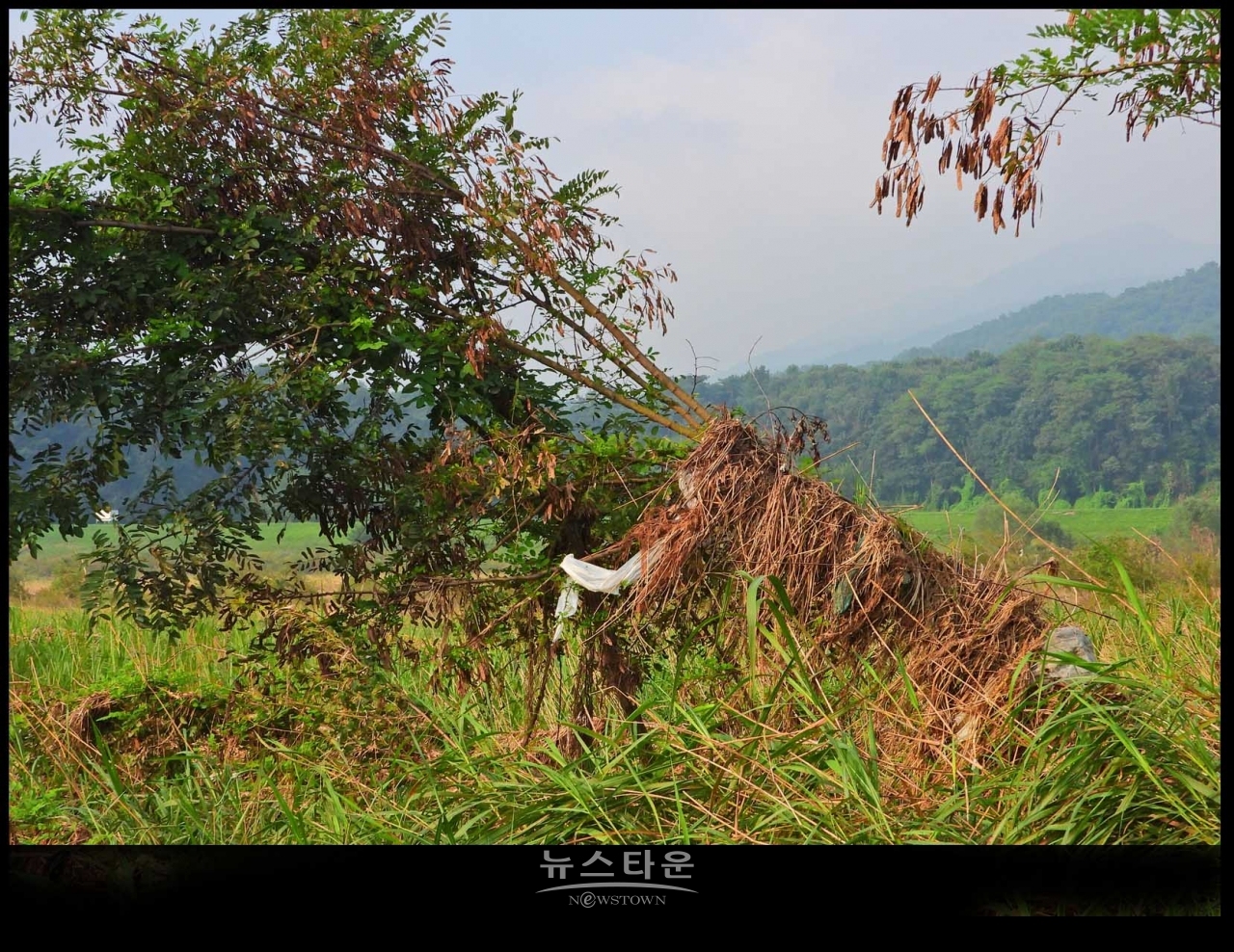 원주섬강 장마가 지나간 후 장면