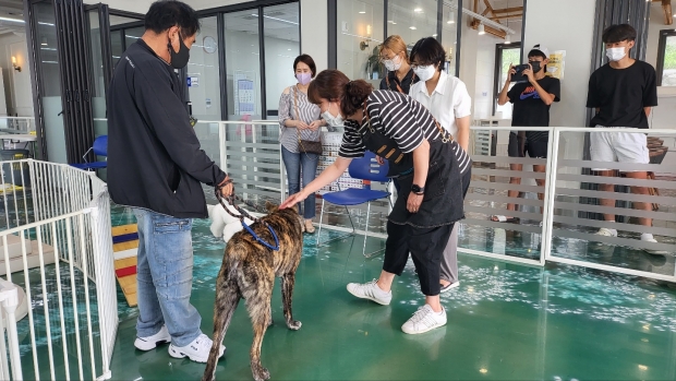 시범과 실습중