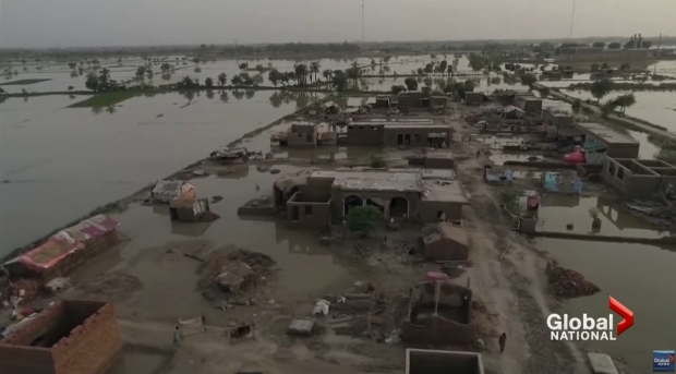 사진 : 글로벌 내셔널 캡처