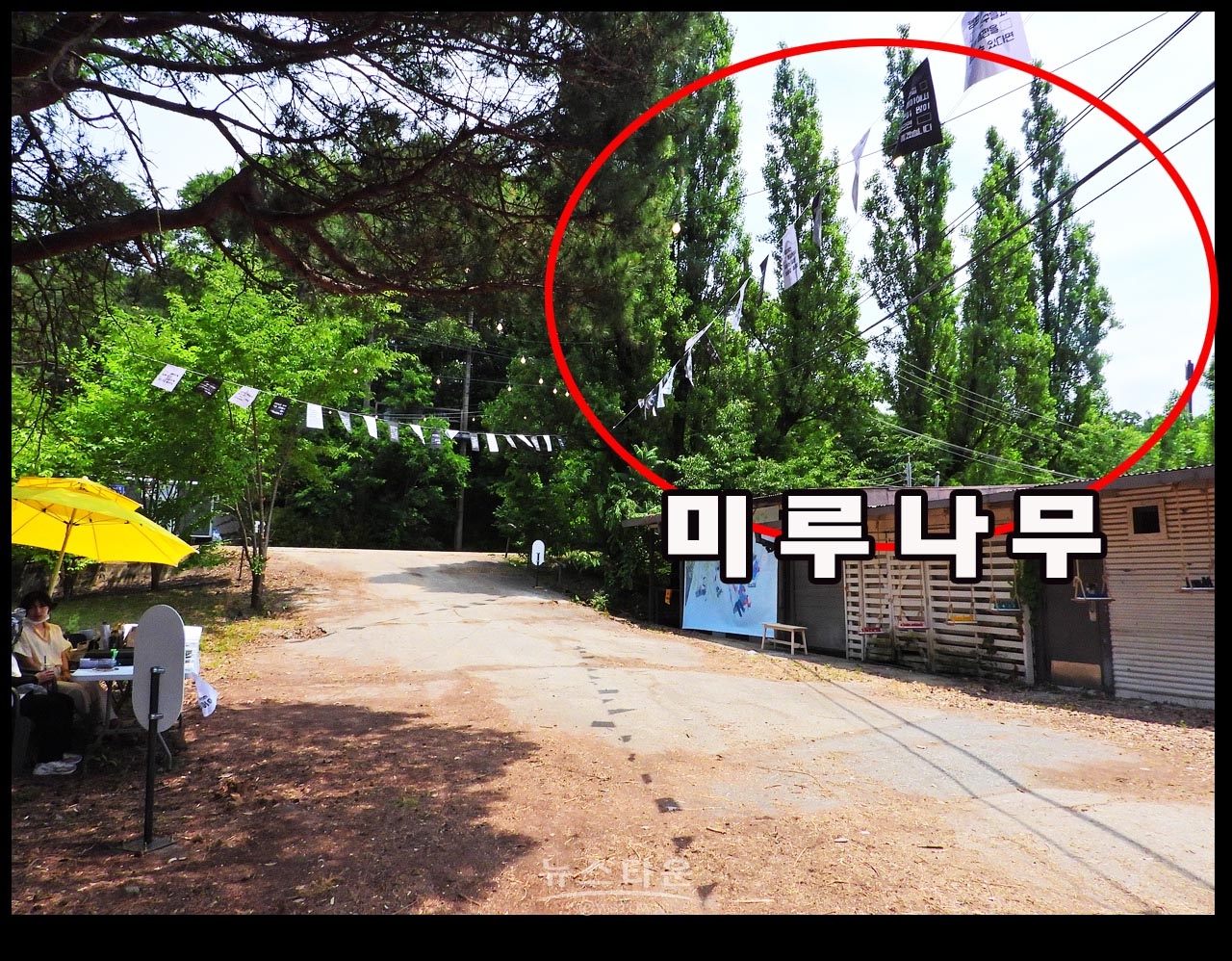 캠프 롱 내에 존치되고 있는 나무, 시설물 관련사진
