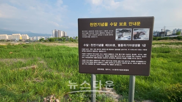 원주천 안내문