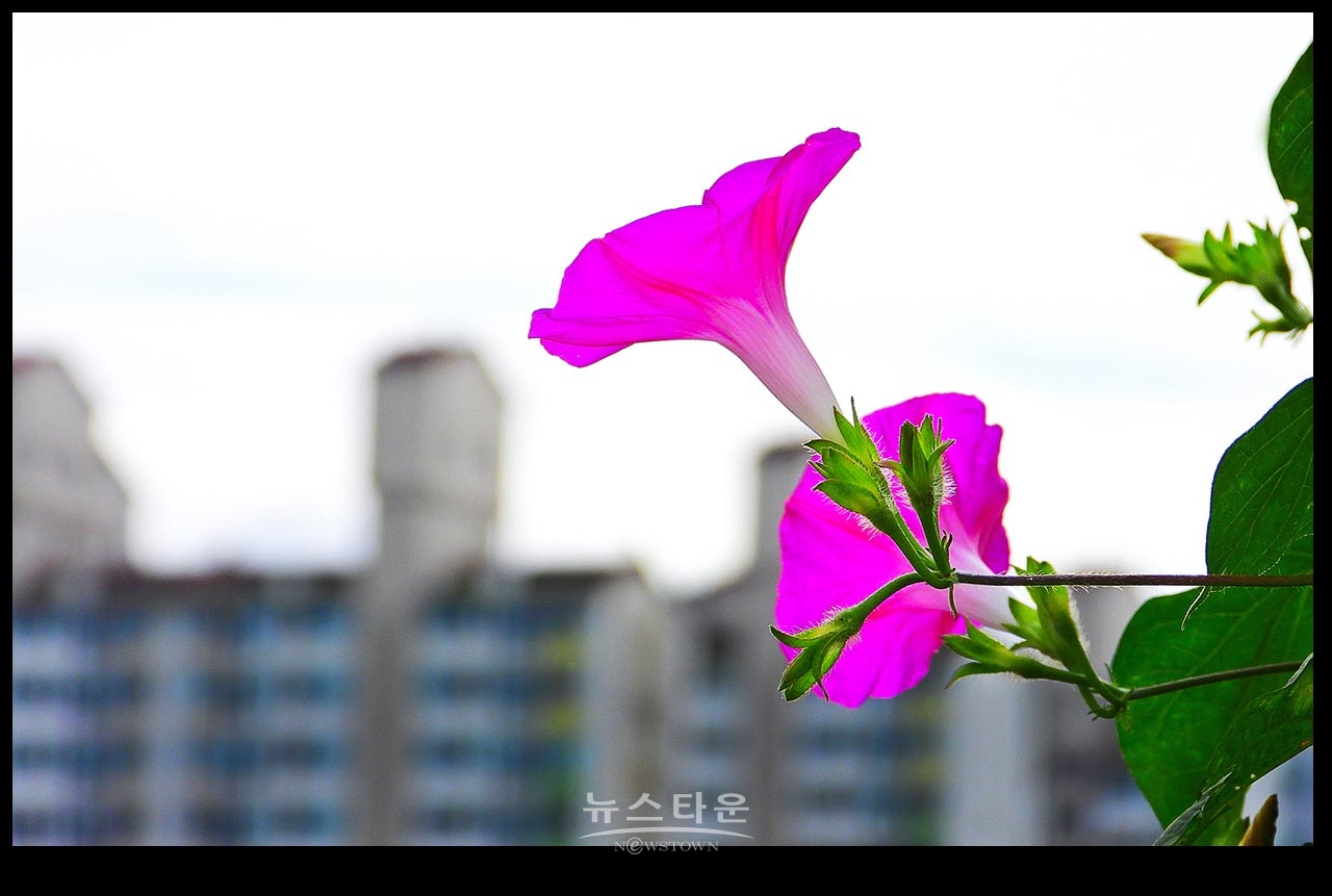 가을이 익는 사진