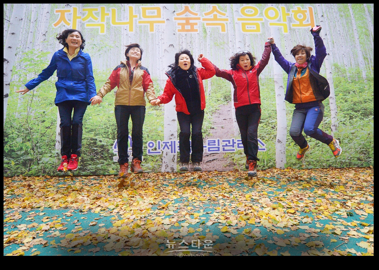 인제자작나무숲 8년 전 10월풍경