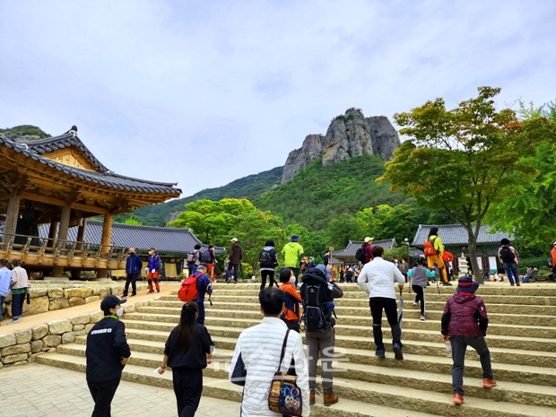 청송 주황산