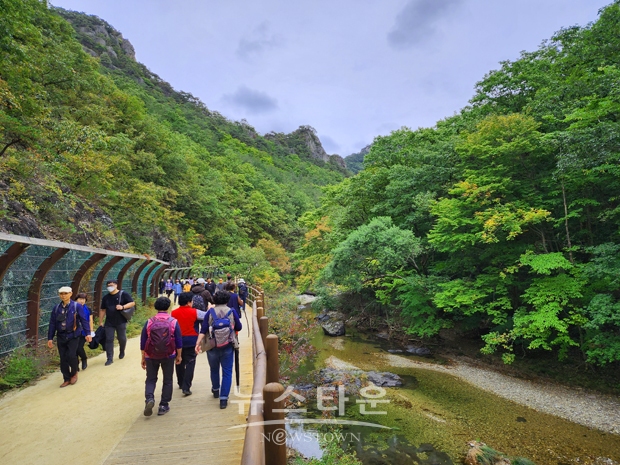 청송 주황산