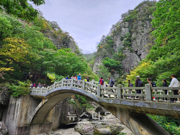 청송 주황산