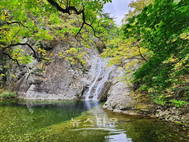 청송 주황산